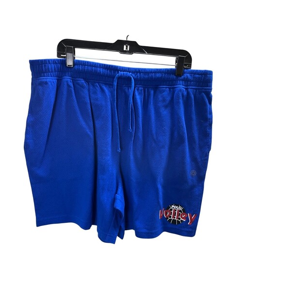 Polo Ralph Lauren Shorts Size XXL Men's Blue Multi Volley - Picture 1 of 7